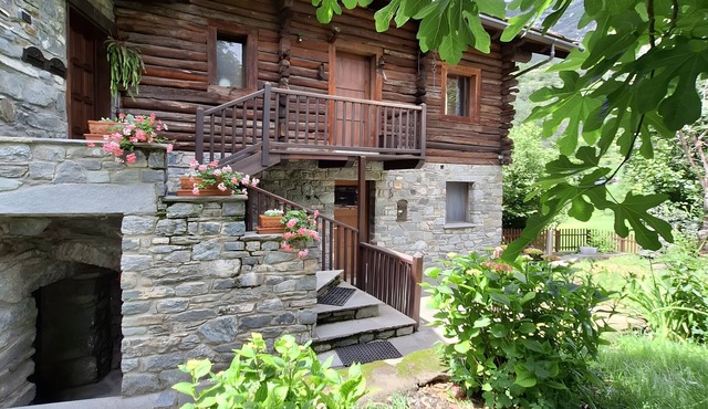 Cozy Apartment Surrounded by Nature