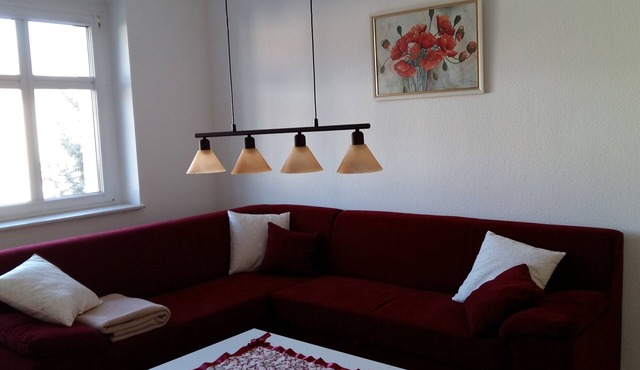 Cozy apartment with a view of the vineyards in a top location