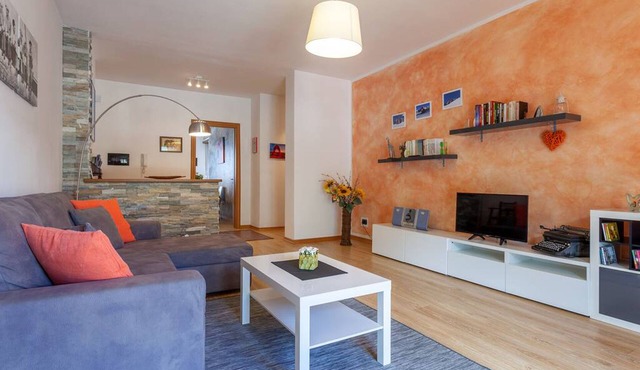 Cozy apartment within walking distance of historic center with mountain view