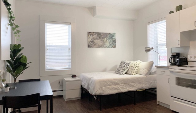 Cozy Bachelor Condo, Downtown, WiFi & Smart TV