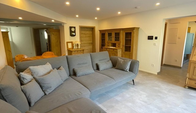 Cozy basement apartment with spacious living room and green outdoor area