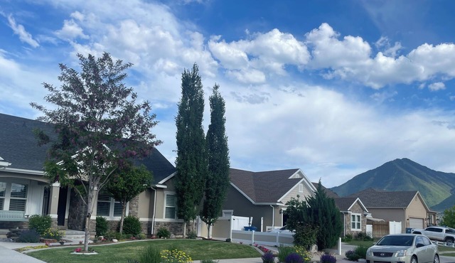 Cozy Basement Home with 6 Beds, 3 Bedrooms, 2 Bathrooms, Laundry Rm, Kitchenette