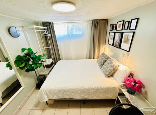 Cozy basement room-Private Bath - Near Subway line 1 - Toronto