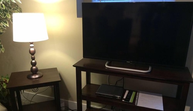Cozy Basement suite