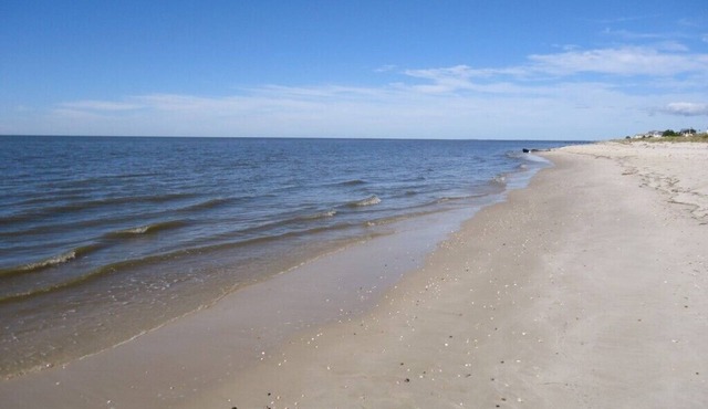 Cozy,beach 100 steps away, PETS OKAY, minimum stay 3nts