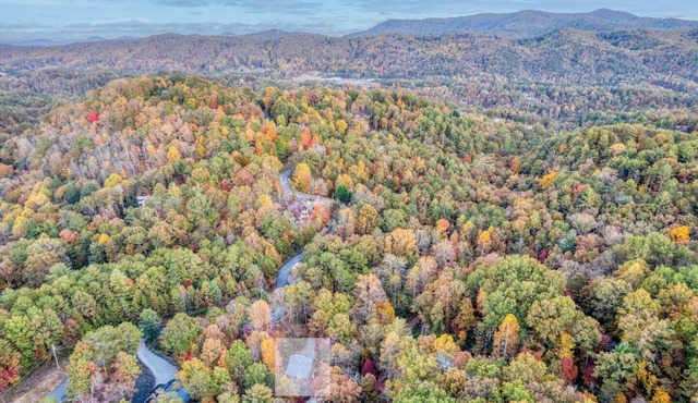 Cozy Blue Ridge Cabin: Hot Tub, Firepit, and More!