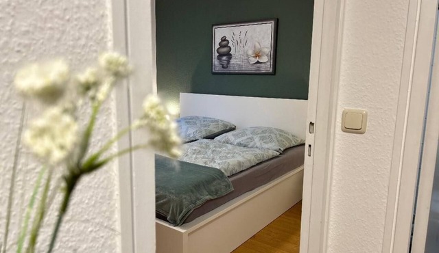 Cozy bright apartment centrally located with balcony and parking space