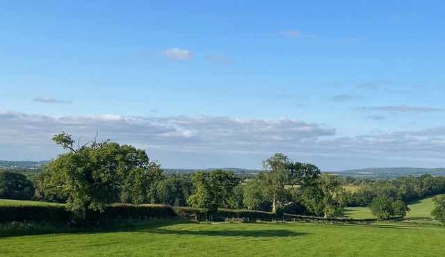 Cozy Bruton Studio with Stunning Views