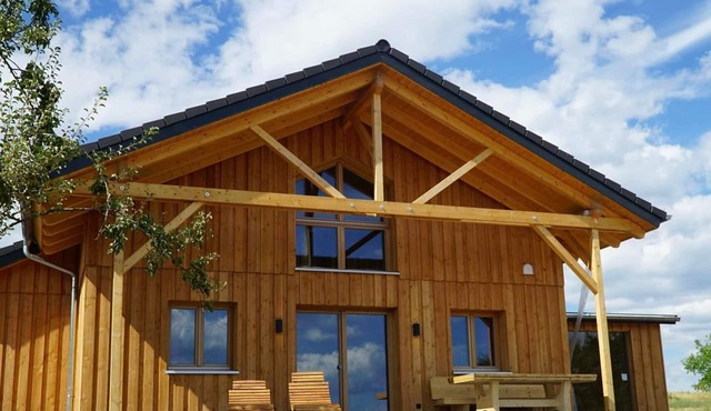 Cozy chalet in the Palatinate Forest with sauna and hot tub in Rhineland-Palatinate