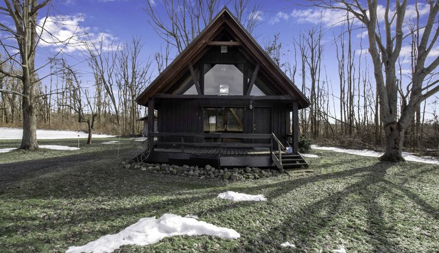 Cozy Cabin Getaway