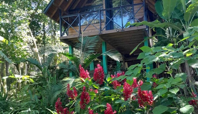 Cozy Cabin with Private Waterfall