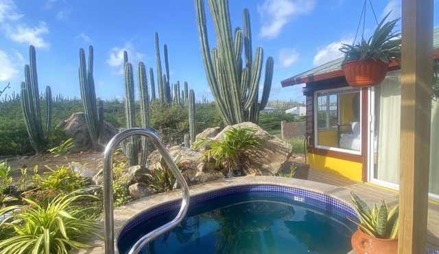Cozy Casitas