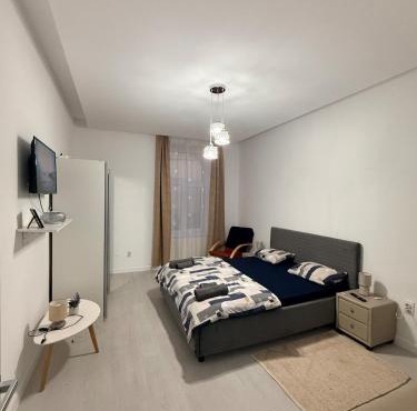 Cozy, centrally located apartment in the heart of Timisoara