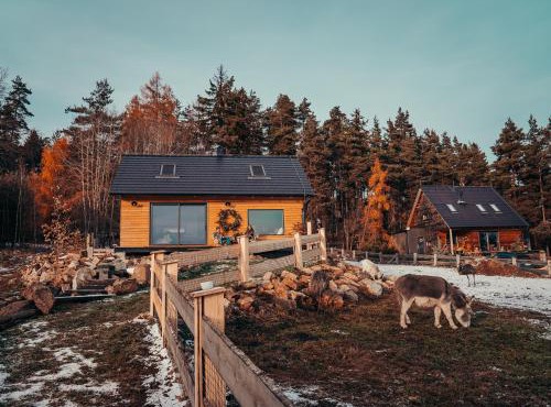 Cozy Chalet