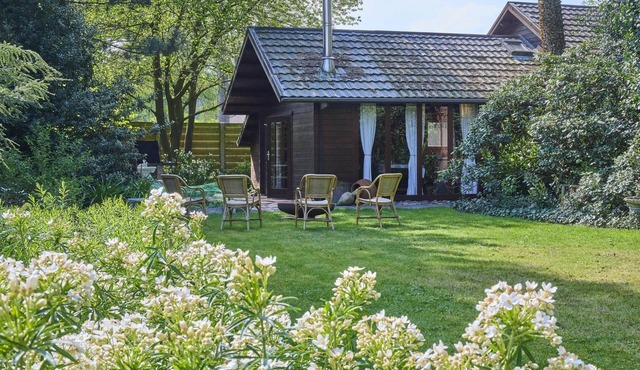 Cozy chalet in a forested area