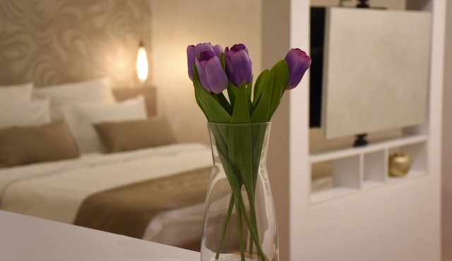 Cozy, clean, charming, new apartment in the city center of Belgrade