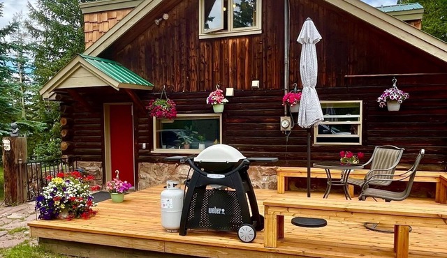 Cozy Colorado Log Cabin