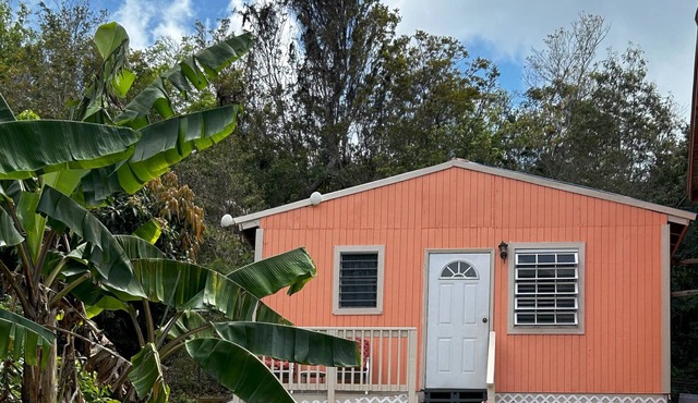 Cozy Conch Shell Cottage Retreat for 2