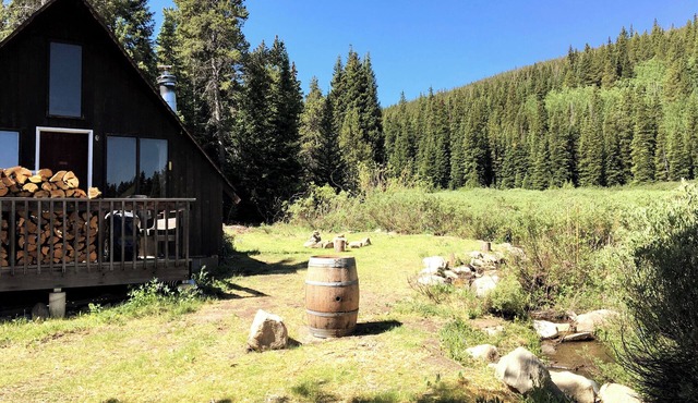 Cozy Creekside Cabin on 1.5 acres minute to Breckenridge
