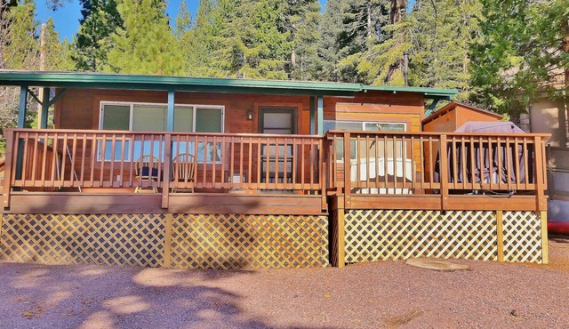 Cozy & Cute Studio Cabin, Pet Friendly with Large Deck On The Lakeshore