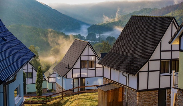 Cozy Eifel Escape with Pool