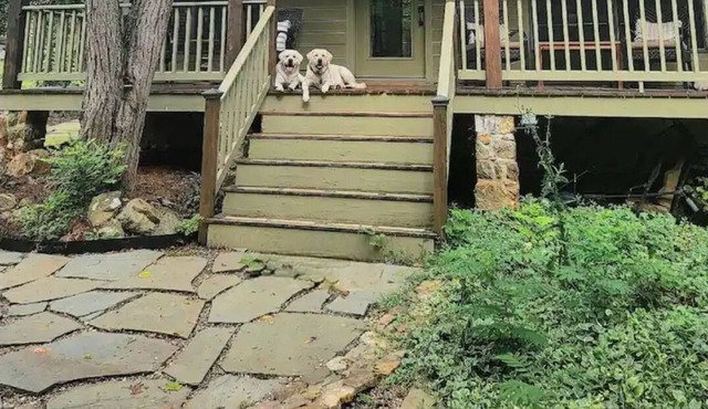 Cozy Farm Cottage on secluded 14 acre farm on the outskirts of Leesburg