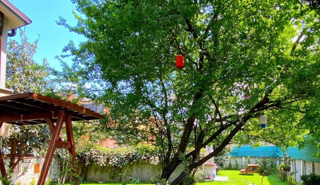 Cozy Flat with Backyard and Fireplace in Sapanca
