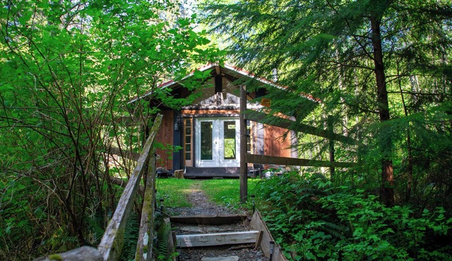 Cozy Forest Cabin in the Beautiful Sayward Valley