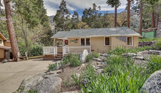 Cozy Forest Falls Rental Cabin Near Hiking Trails!