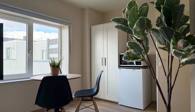 Cozy & Fully Equipped Studio in Eindhoven 05
