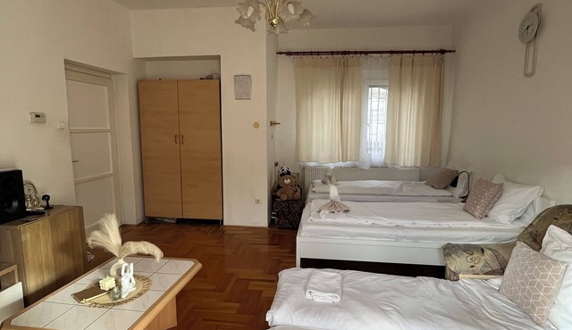 Cozy hideaway Budapest w/FREE PARKING