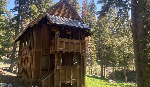 Cozy Historic Bear Valley Cabin