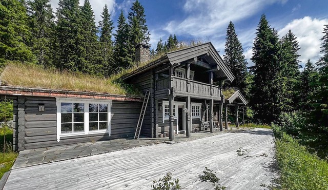 Cozy home in Eggedal with WiFi