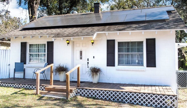 Cozy Home near Busch Gardens/Adventure Island/USF