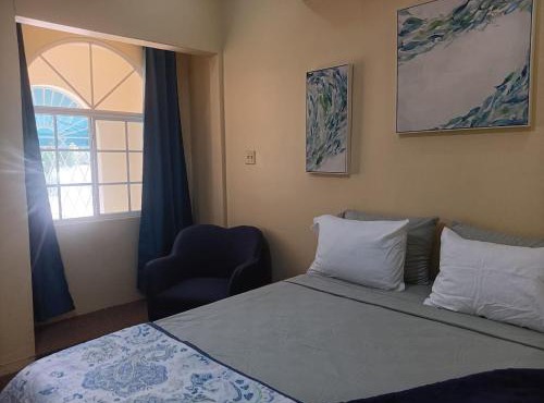 Cozy Kingston Flat