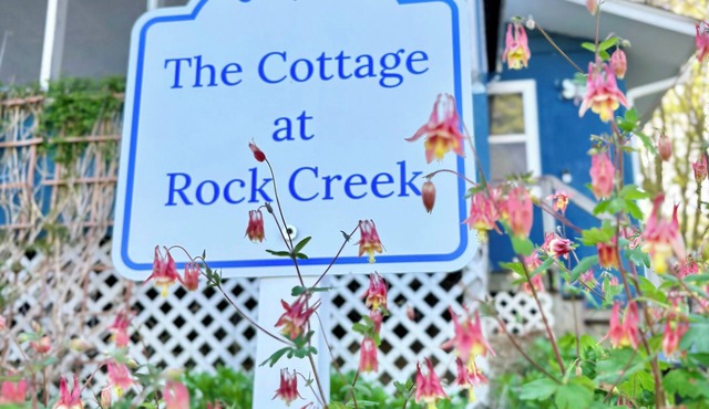 Cozy Lake Cottage! Dog Friendly, Fishing/Beach/Kayak. Military 30% Off