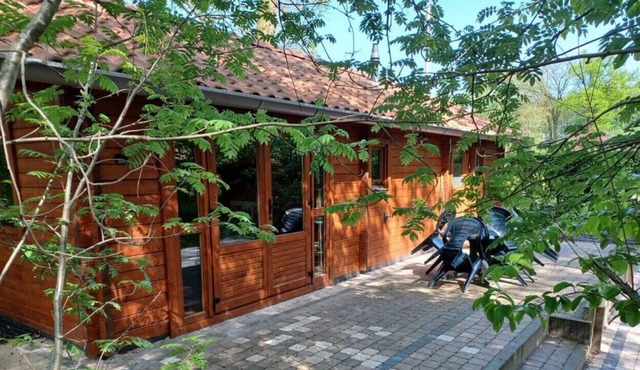 Cozy log cabin on a large and green plot @ Veluwe.