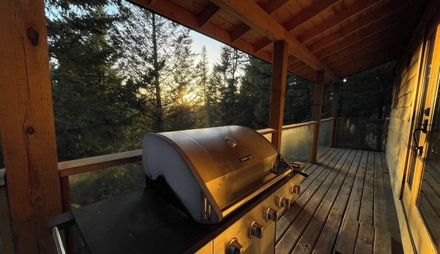 Cozy log cabin & studio on interlakes highway