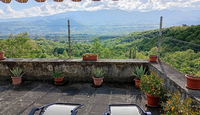 Cozy mini apartment on large terrace with unique view, pets allowed