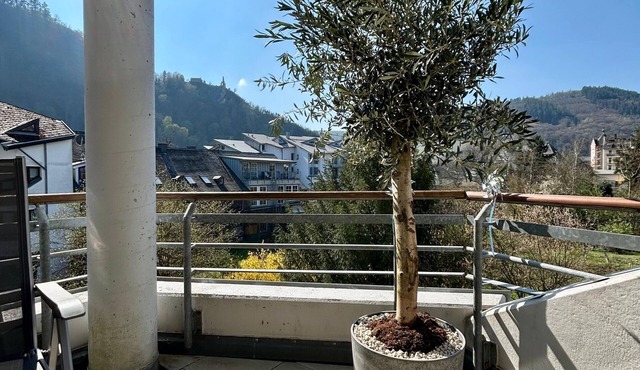 Cozy modern 1-bedroom apartment in charming Traben-Trarbach