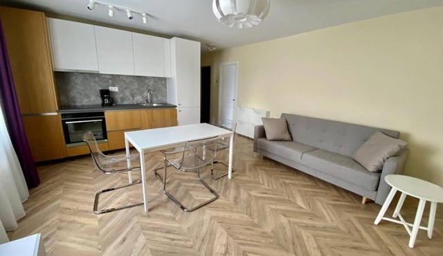 Cozy Modern One Bedroom