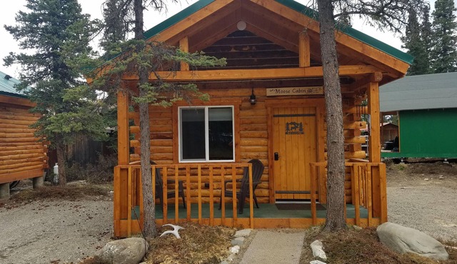 Cozy Moose Log Cabin