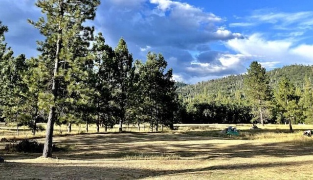 Cozy mountain meadow studio near Yosemite!