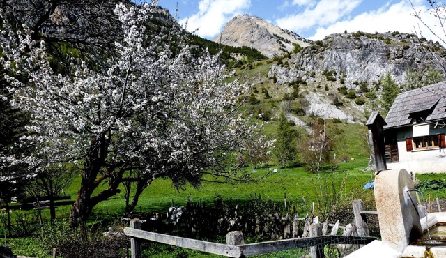 Cozy Nest In Bardonecchia