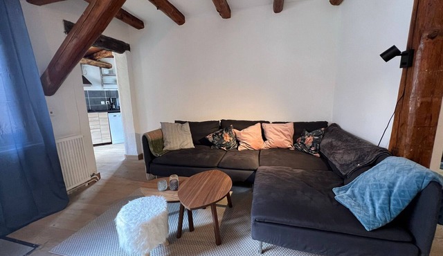 Cozy Renovated Apartment · Mountain Village Peace · Near Ski Lifts · Wifi
