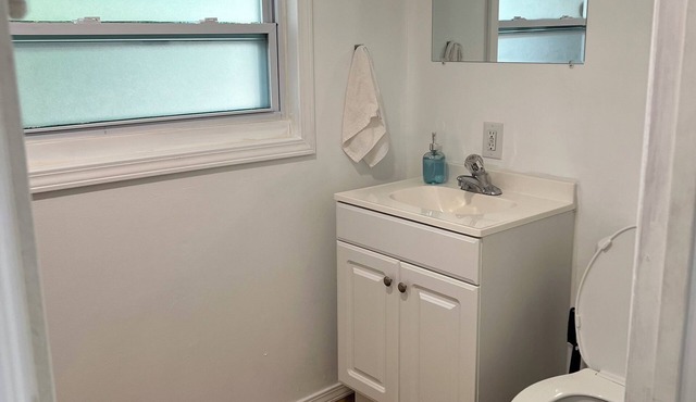 Cozy Retreat within walking distance to Downtown Dunedin