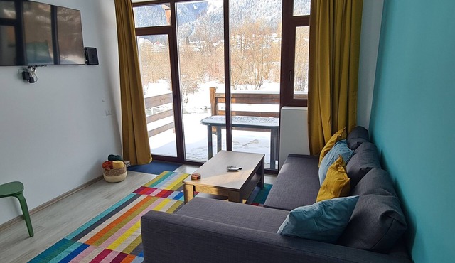 Cozy Riverfront Apartment 1 with mountain view