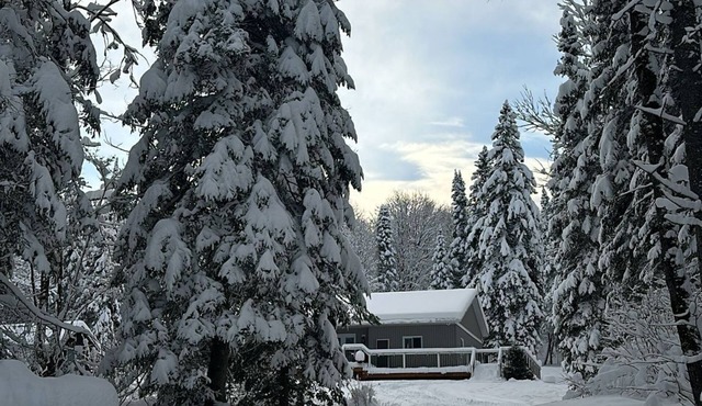 Cozy Rosseau Cottage