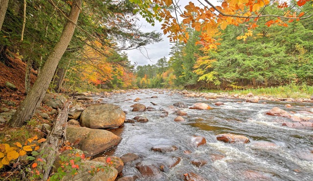 Cozy, Rustic Adirondack Riverfront Log Cabin, Rapids, Independence River
