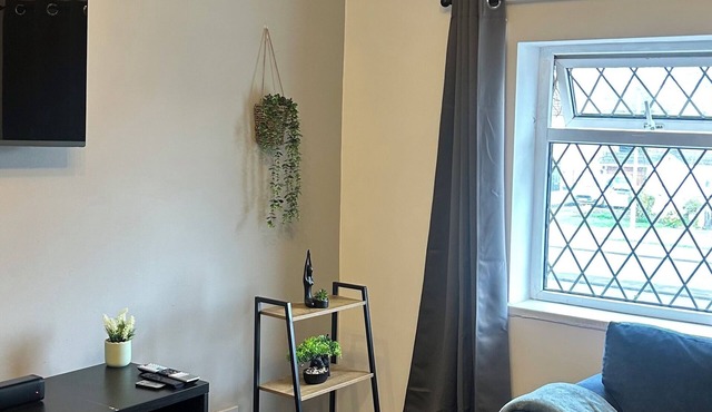 cozy serene flat